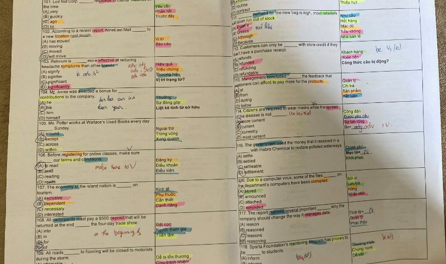 Hành trình từ 565 đến 820 TOEIC của Như Hòa 2 như hòa