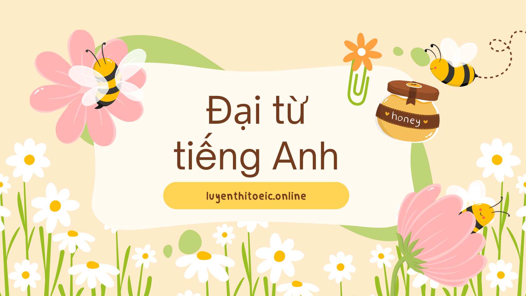 Đại Từ Cơ Bản Trong Tiếng Anh: Học Nhanh, Nhớ Lâu 1 đại từ tiếng anh